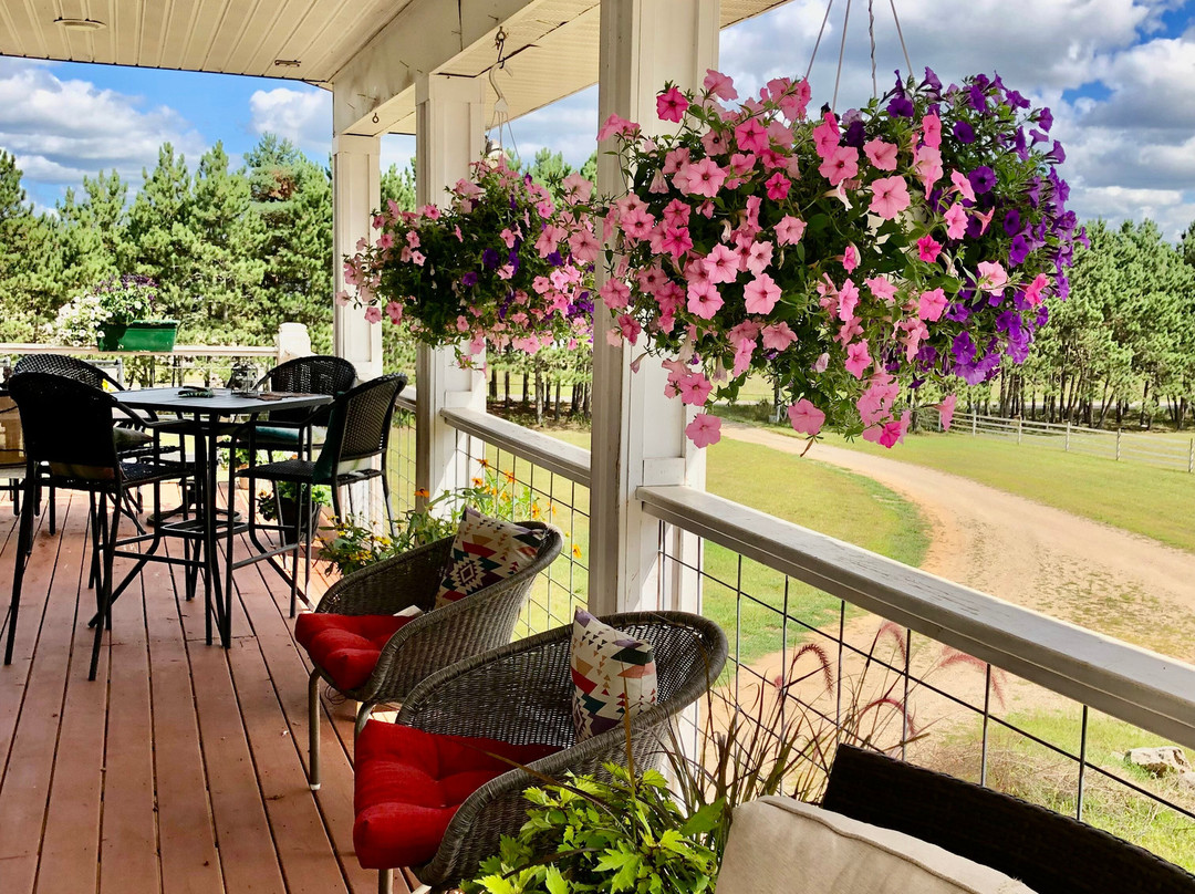 Outback Lodge and Stables主图