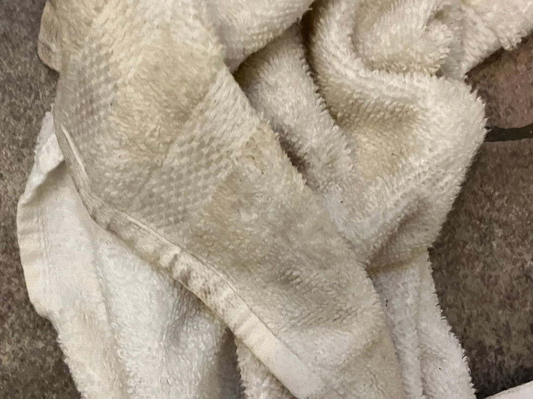 Cedar Lodge Motel主图