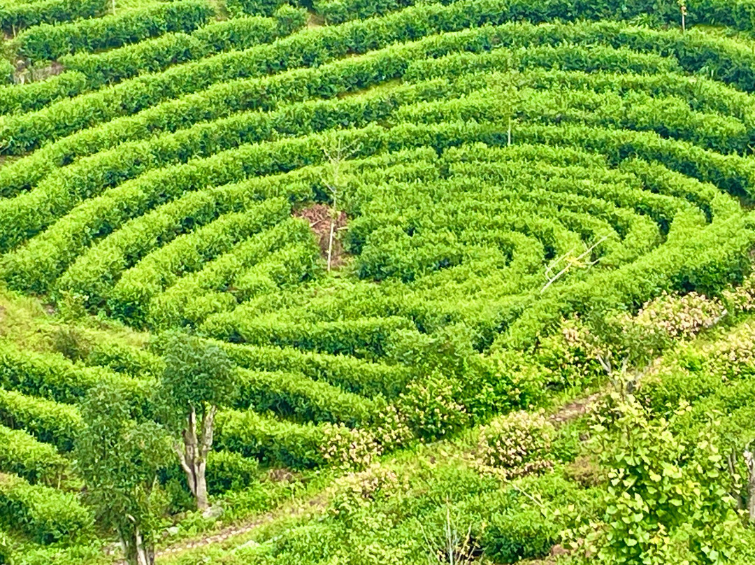 Truly China Travel-桂林市必去景点