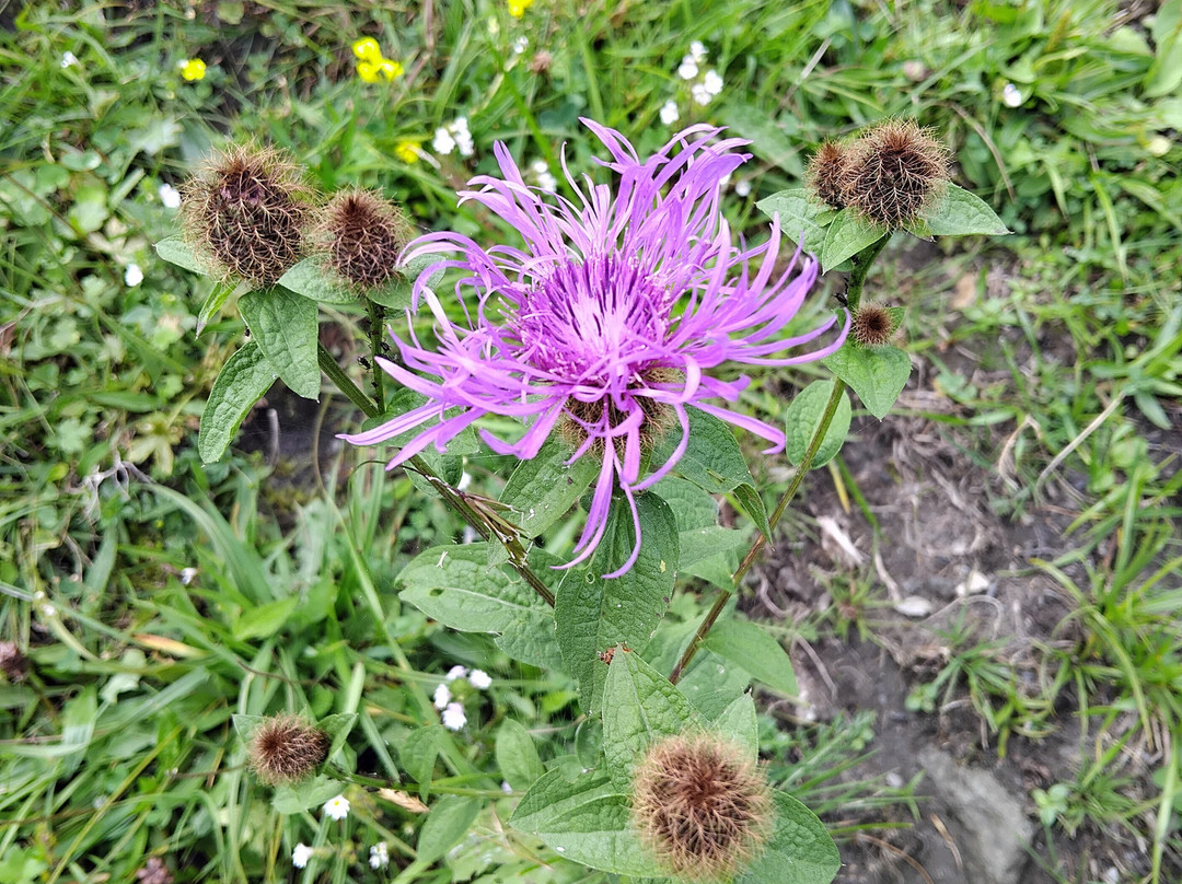 Bad Fusch-Fusch必去景点