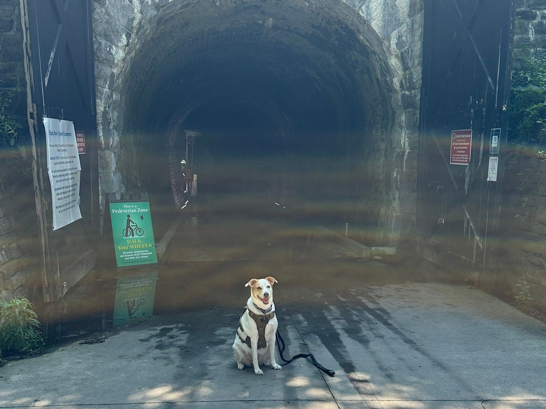 Brockville Railway Tunnel景点图片