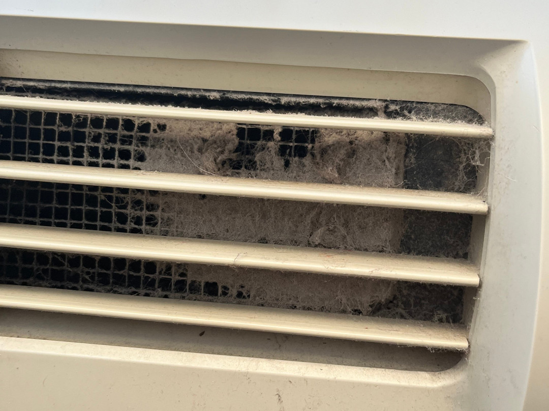 Best Western Newport Inn主图