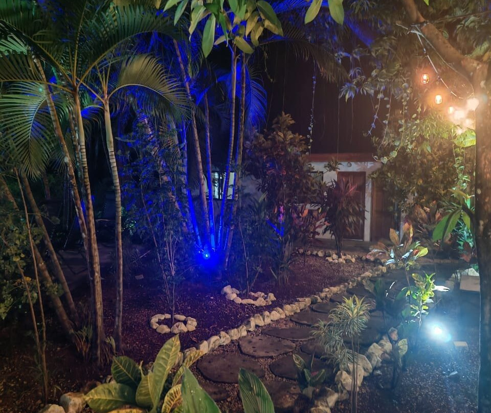 Buddha Hotel Restaurante主图