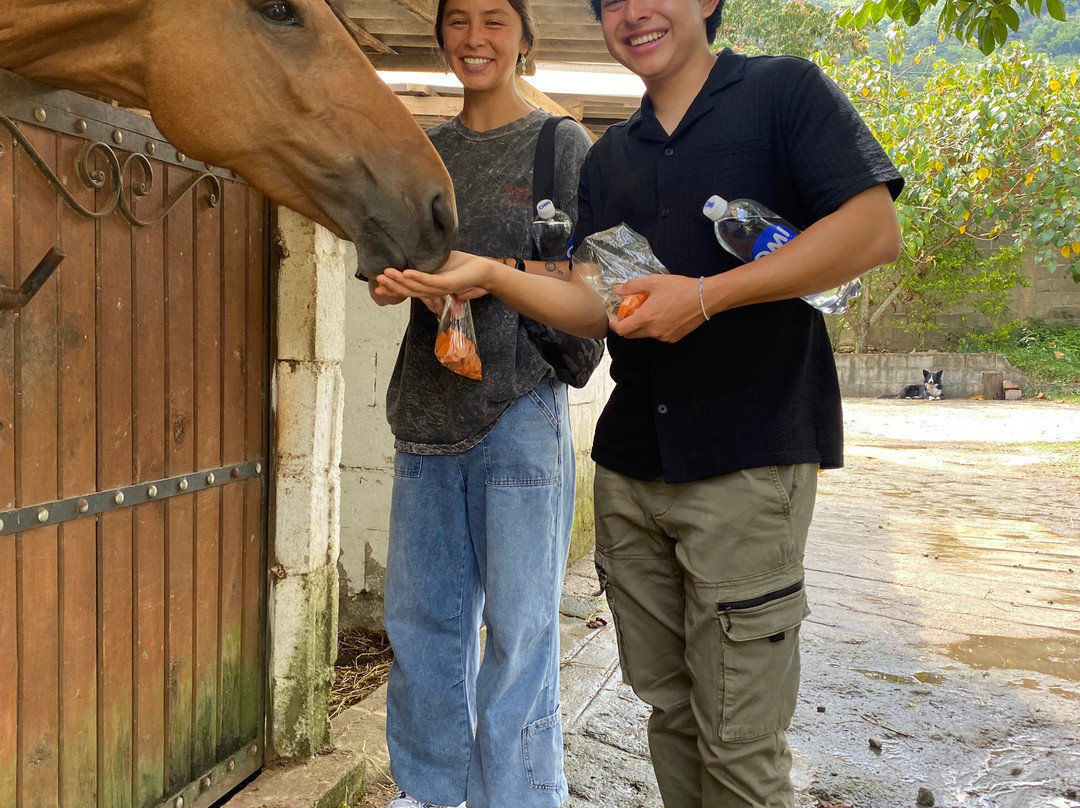 Wandertours-Girardota必去景点