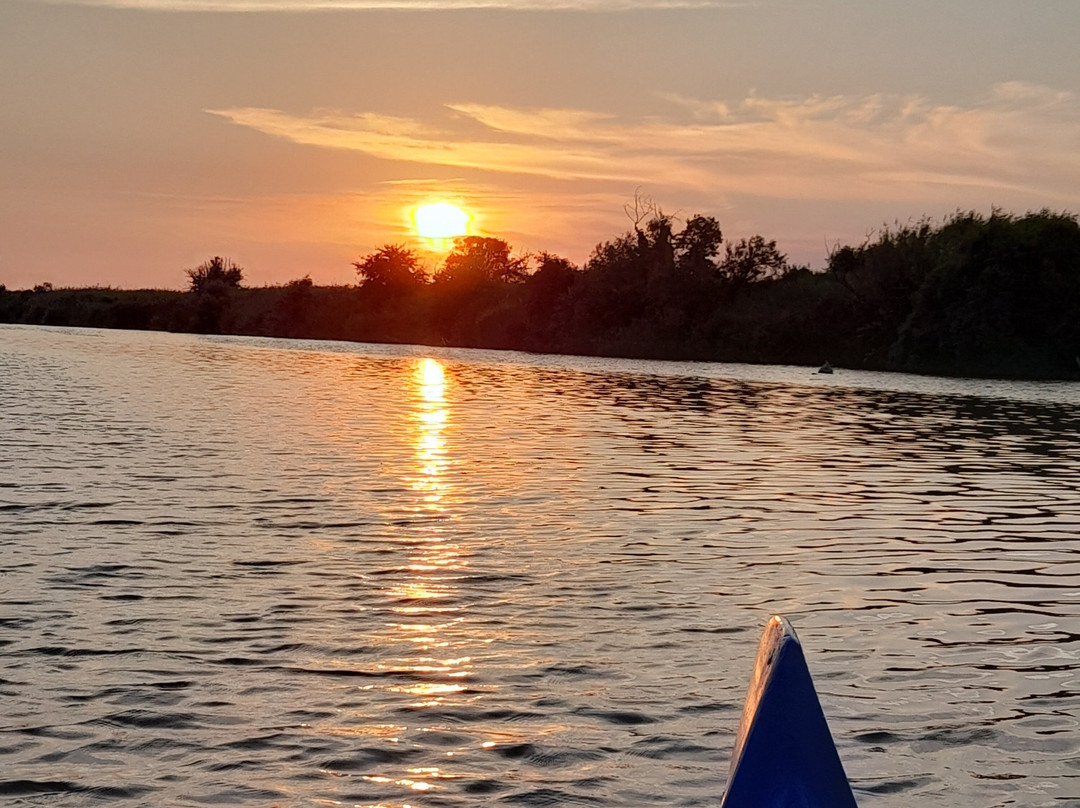 Canoe nel Parco della Maremma景点图片