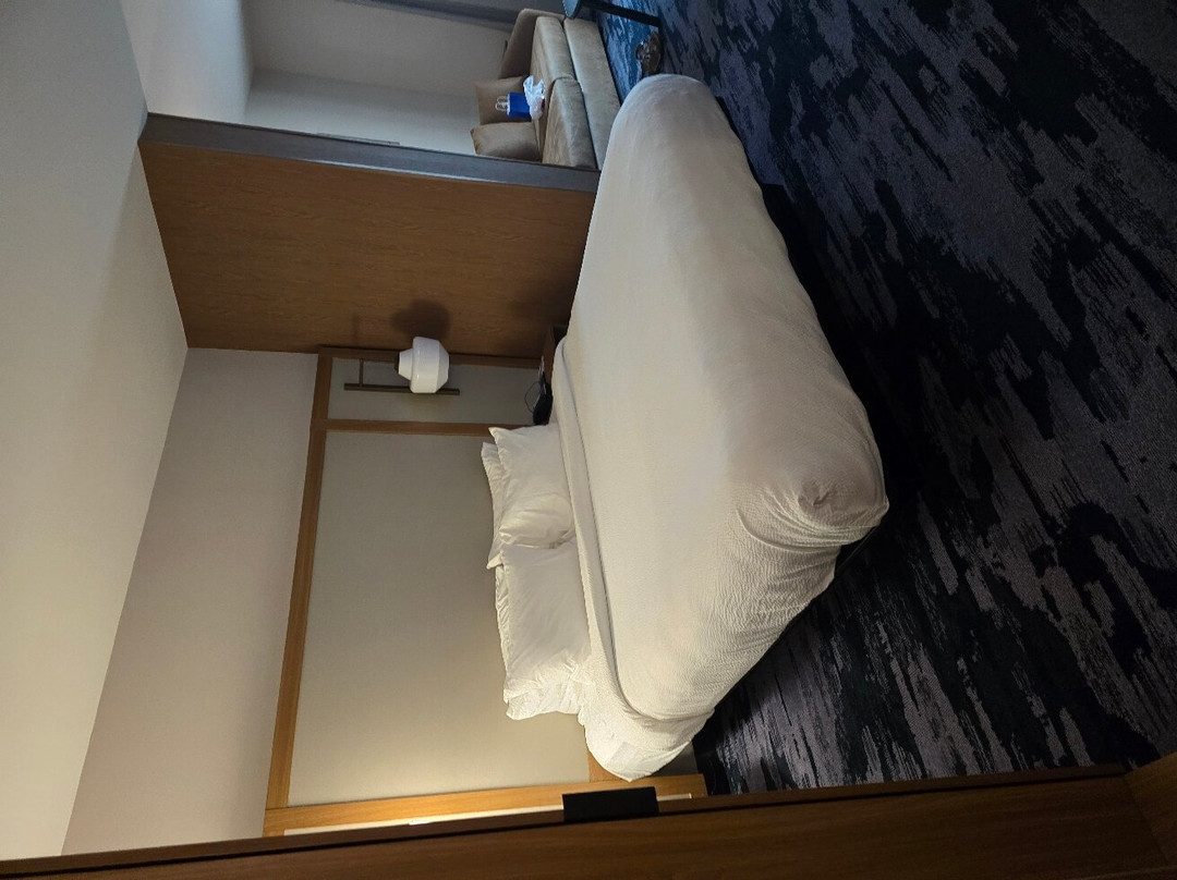 Fairfield by Marriott Inn & Suites Albertville主图