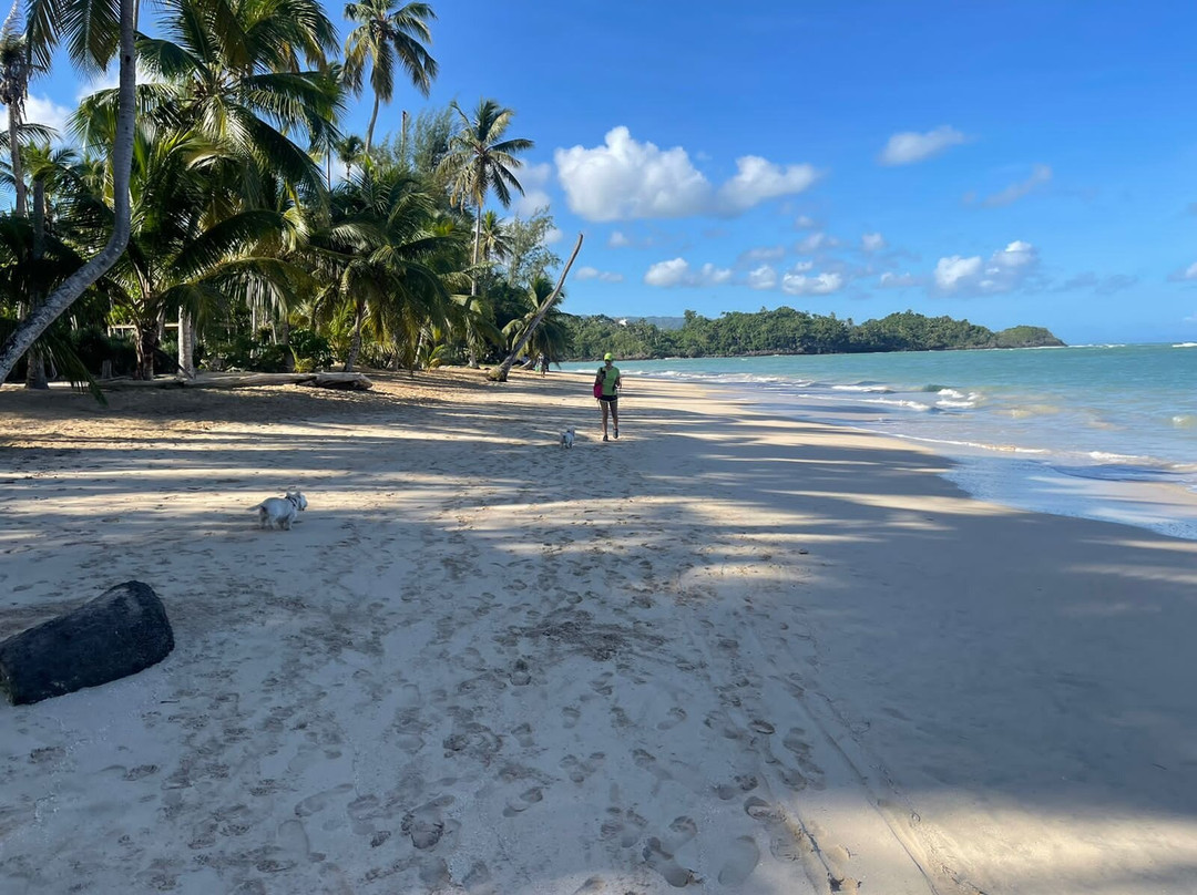 Hotel Residence Marilar主图