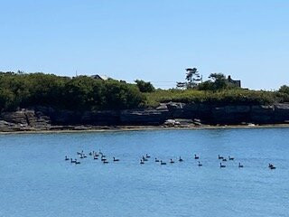 Kettle Cove State Park-开普伊丽莎白必去景点