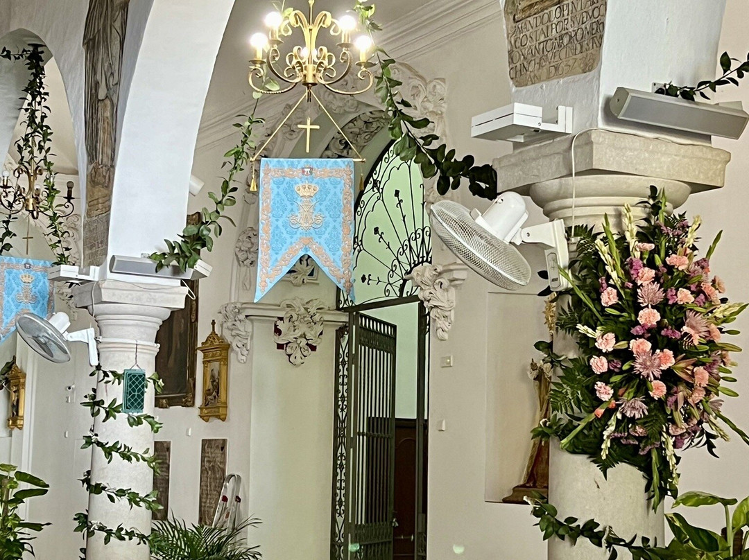 Iglesia Inmaculada Concepcion景点图片