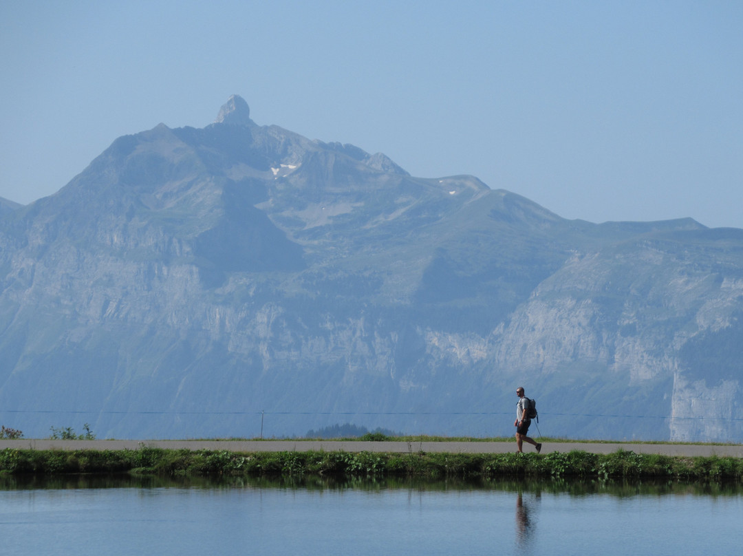 Lac de Joux Plane景点图片