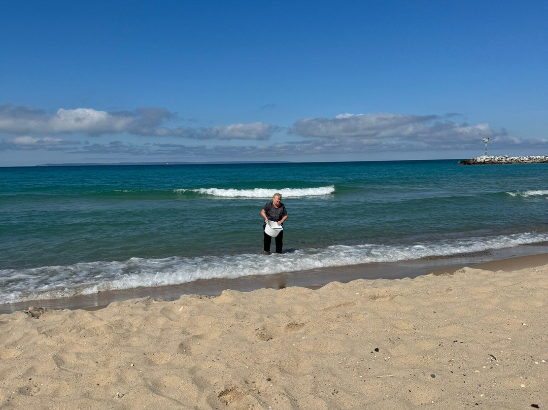 Van's Beach景点图片