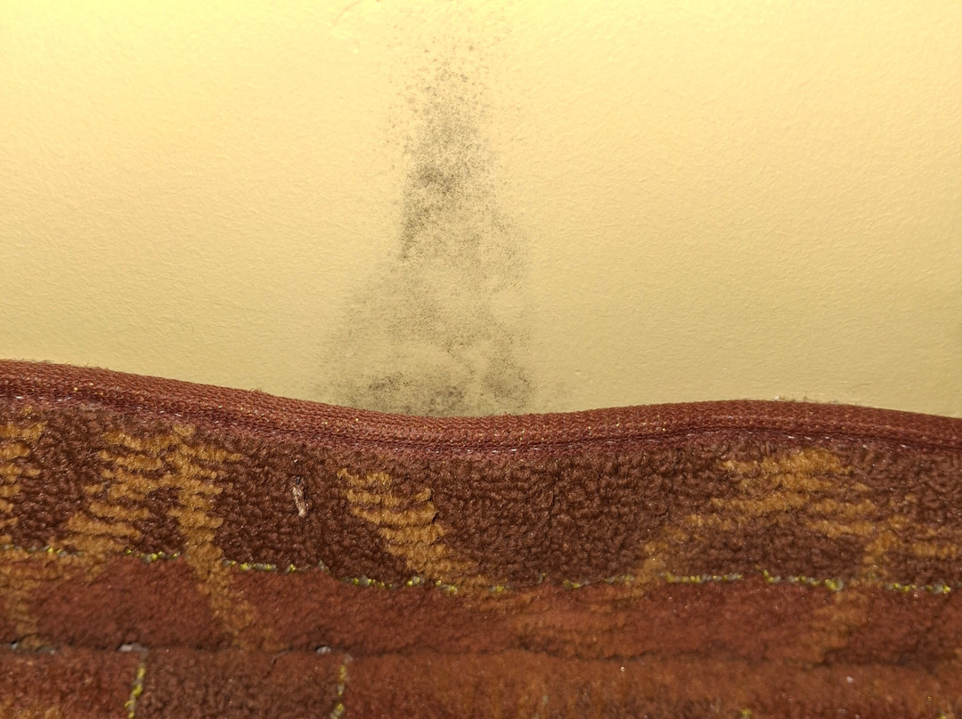 Quality Inn Old Saybrook - Westbrook主图