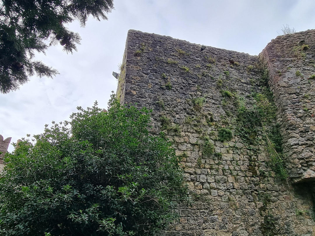 Castello Superiore景点图片