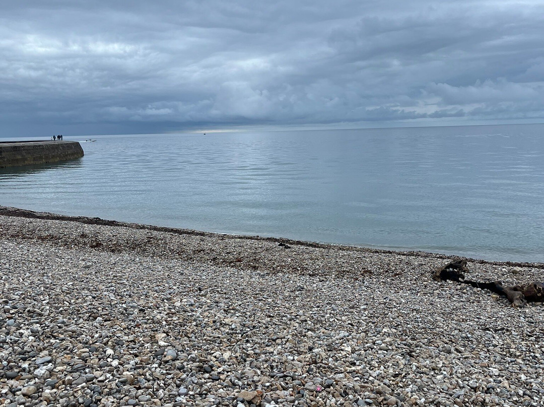 Lyme Regis Beach-莱姆里杰斯必去景点