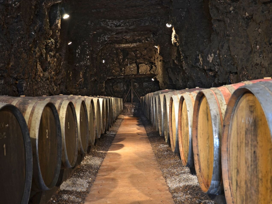 Domaine Des Bouquerries景点图片