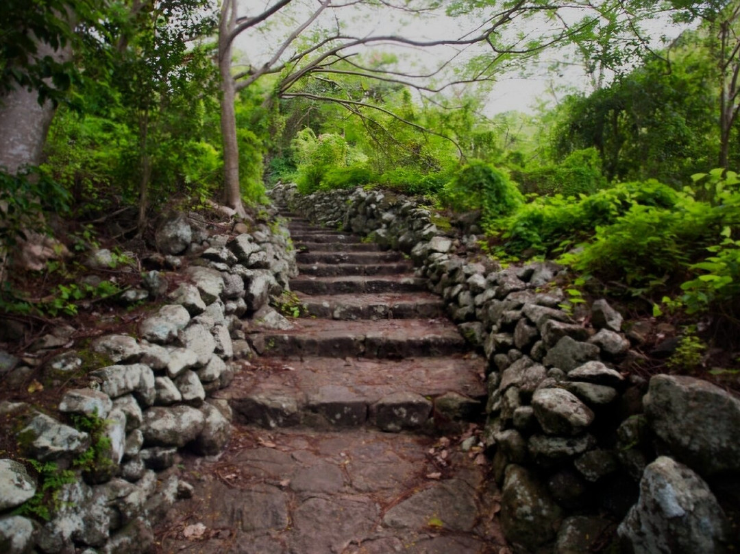 Ladder Bay-The Bottom必去景点