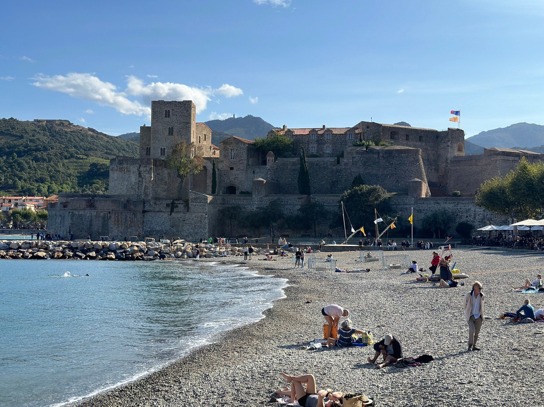Plage de Collioure景点图片