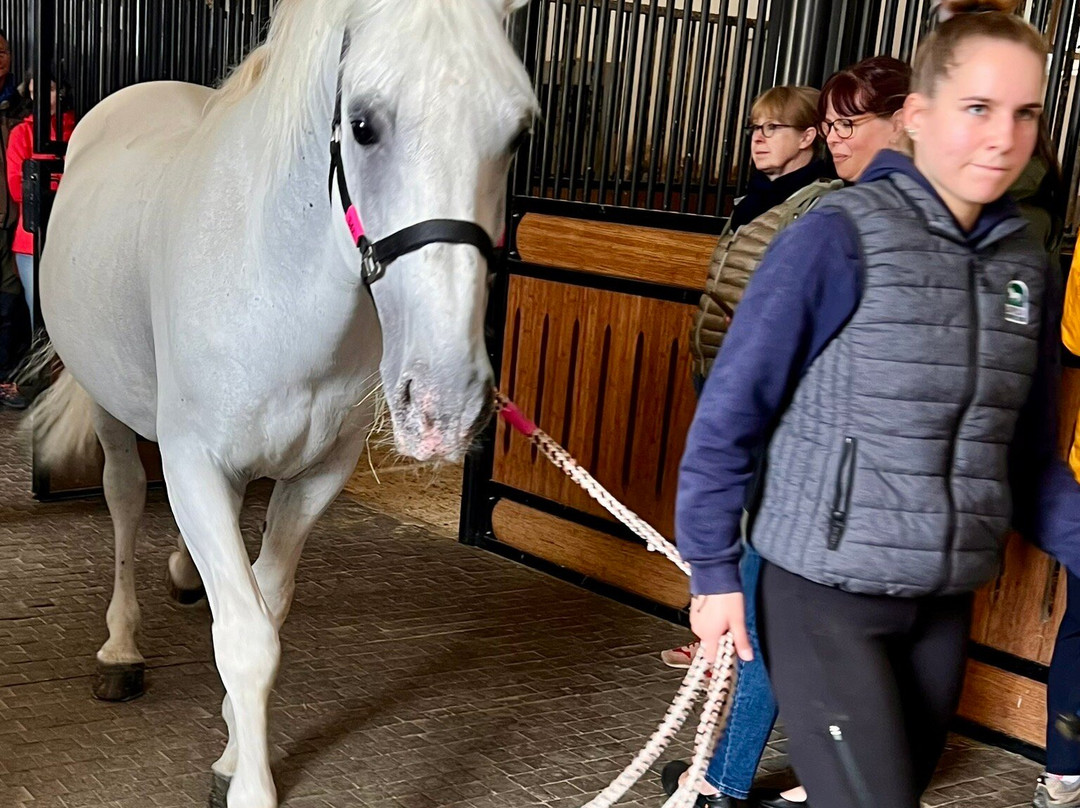 Lipica Stud Farm - Kobilarna Lipica景点图片