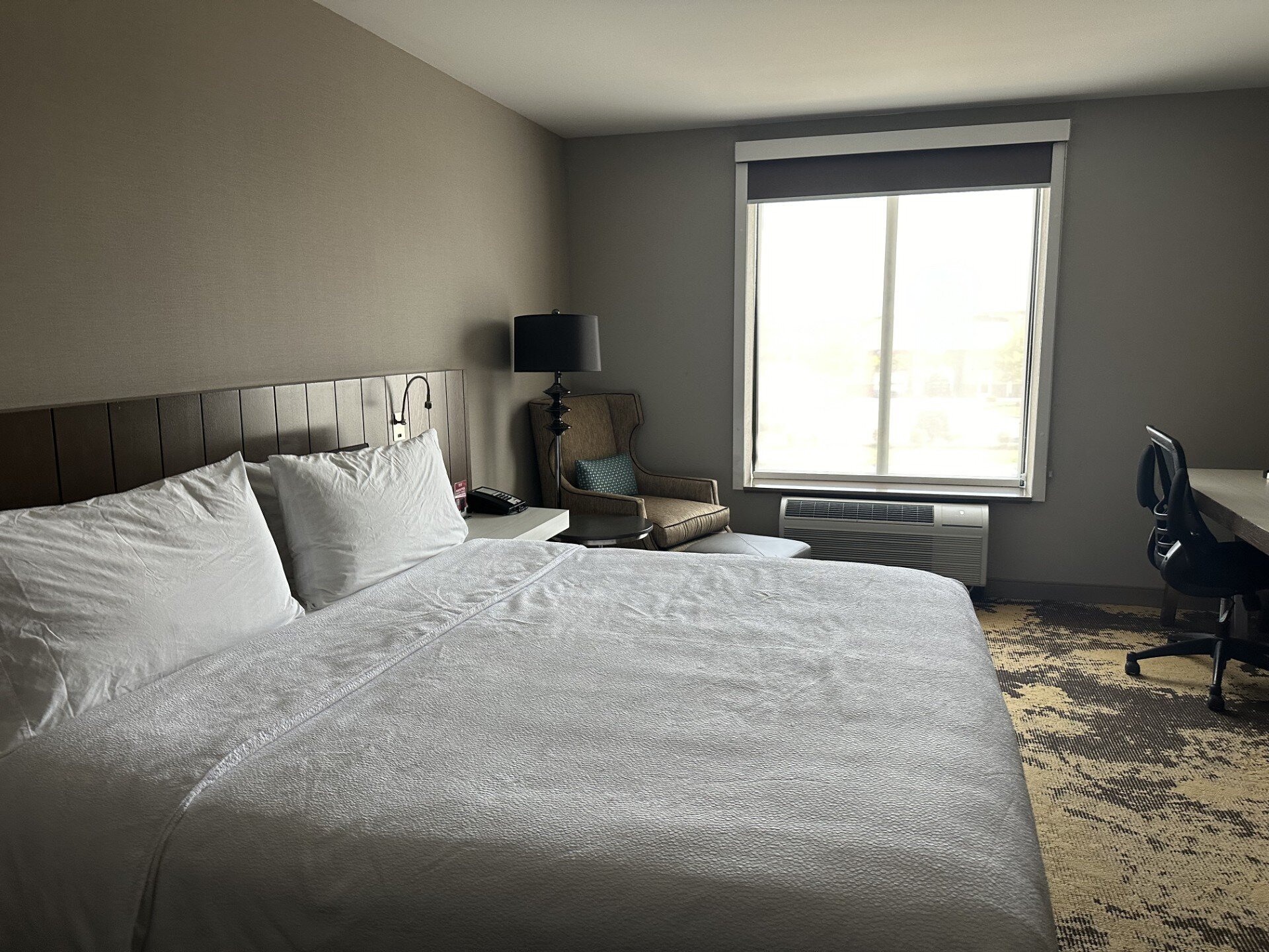 Hilton Garden Inn Pittsburgh Airport-客卧