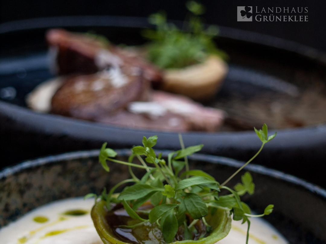 Landhaus Grüneklee主图