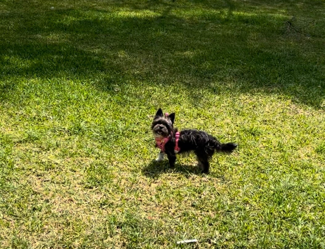 Hotel Bodega el Huarango主图