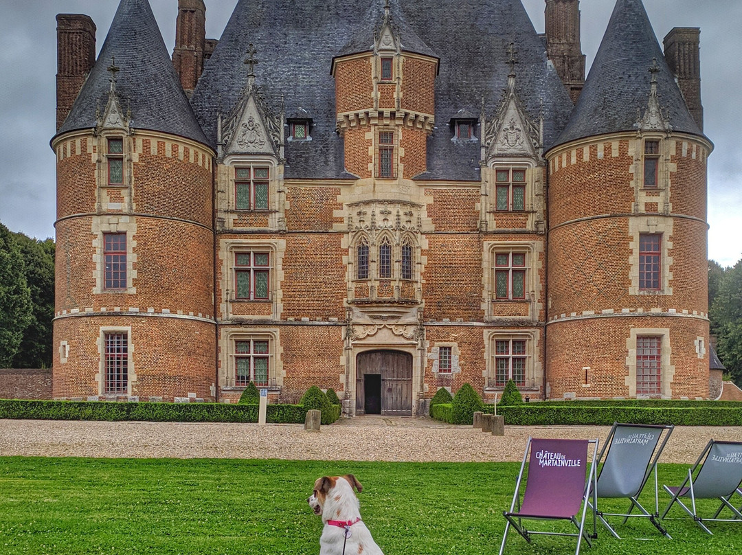Chateau de Martainville景点图片