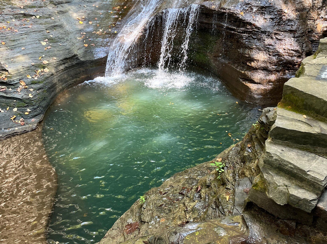 Glass Magnolia Bed & Breakfast主图