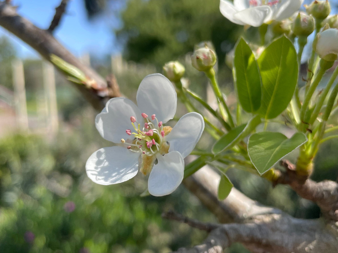 Birch Place Playground-塞尔必去景点