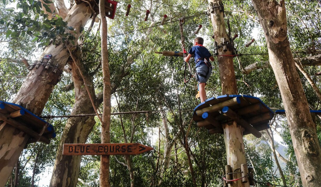 Acrobranch Stellenbosch-斯泰伦博斯必去景点