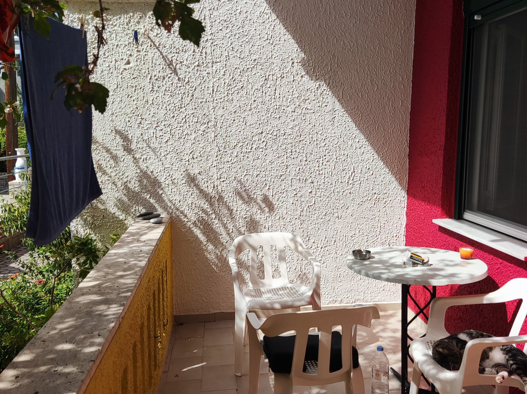 Albatross Apartments主图