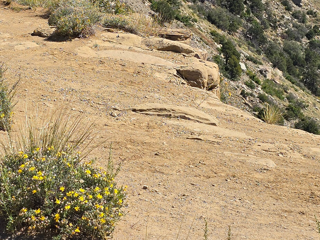 Chimney Rock National Monument景点图片