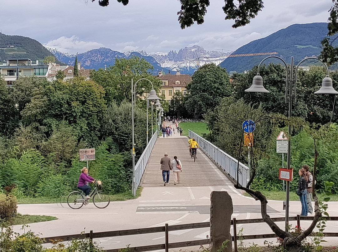 Parco Petrarca景点图片