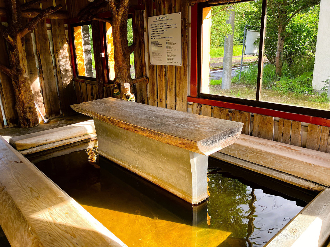 Kawayuonsen Station Footbath-弟子屈町必去景点