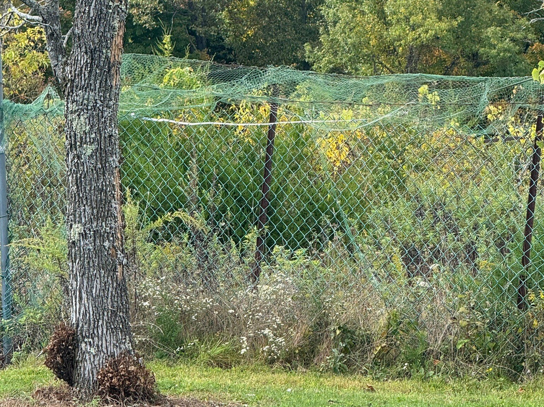 Demarest Hill Winery景点图片