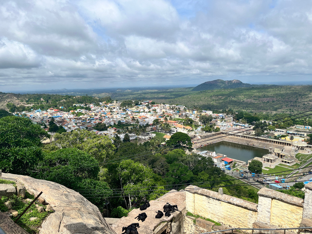 Yoga Narasimha temple-Melukote必去景点