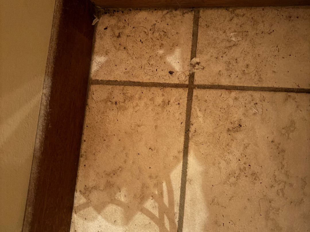 The Cottage B&B主图