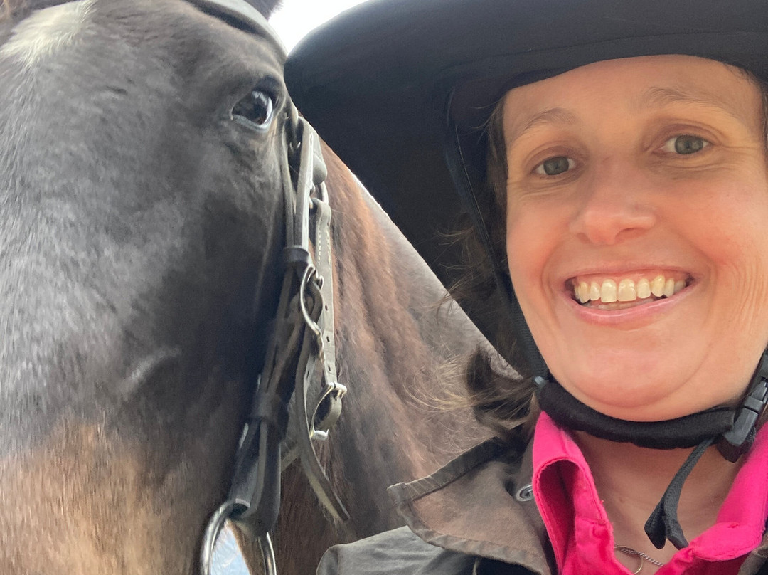 Bogong Horseback Adventures景点图片