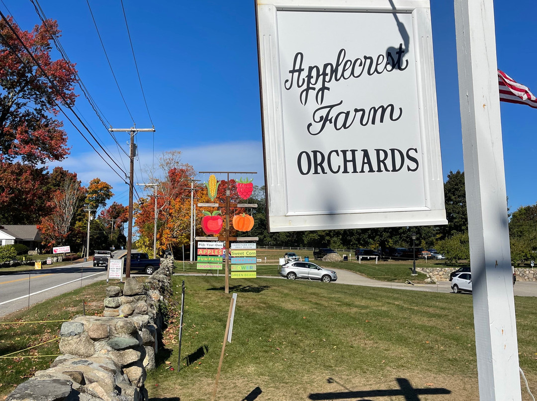 Holiday Inn Express & Suites Hampton South-seabrook By IHG主图