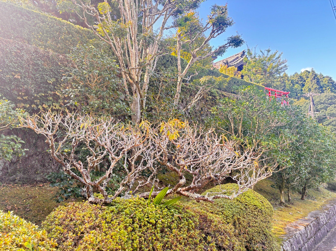 Henjoin Temple-宇治田原町必去景点