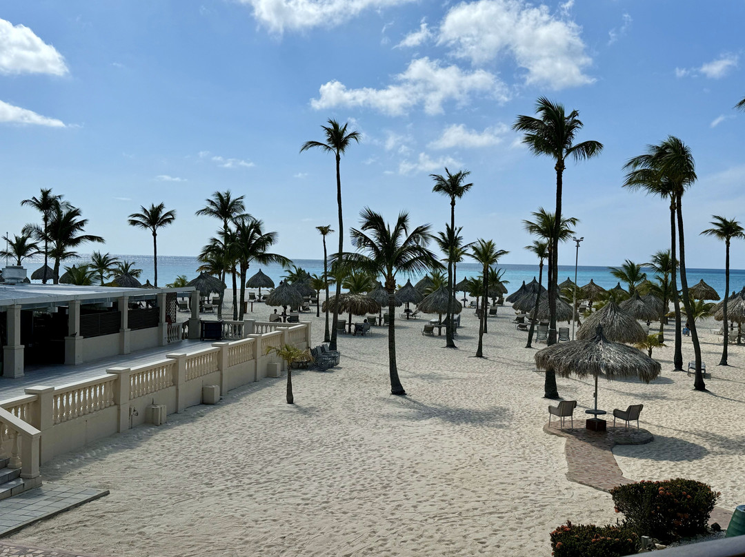 Manchebo Beach Resort & Spa主图