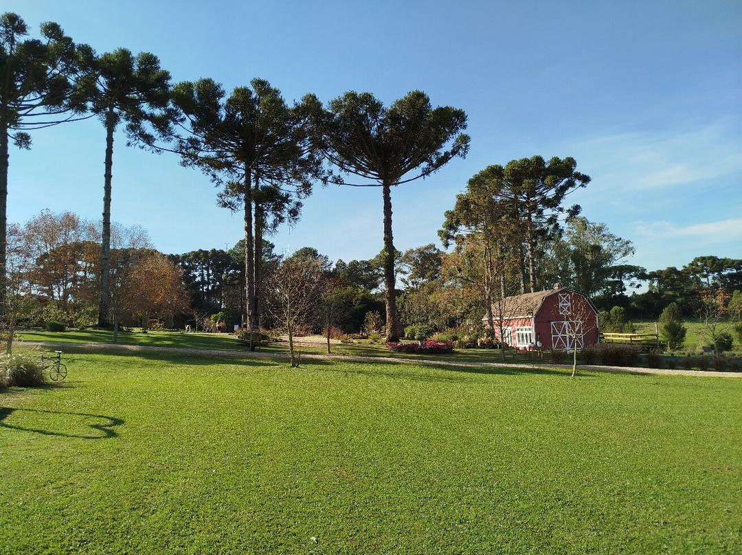 Colonia Witmarsum-Palmeira必去景点