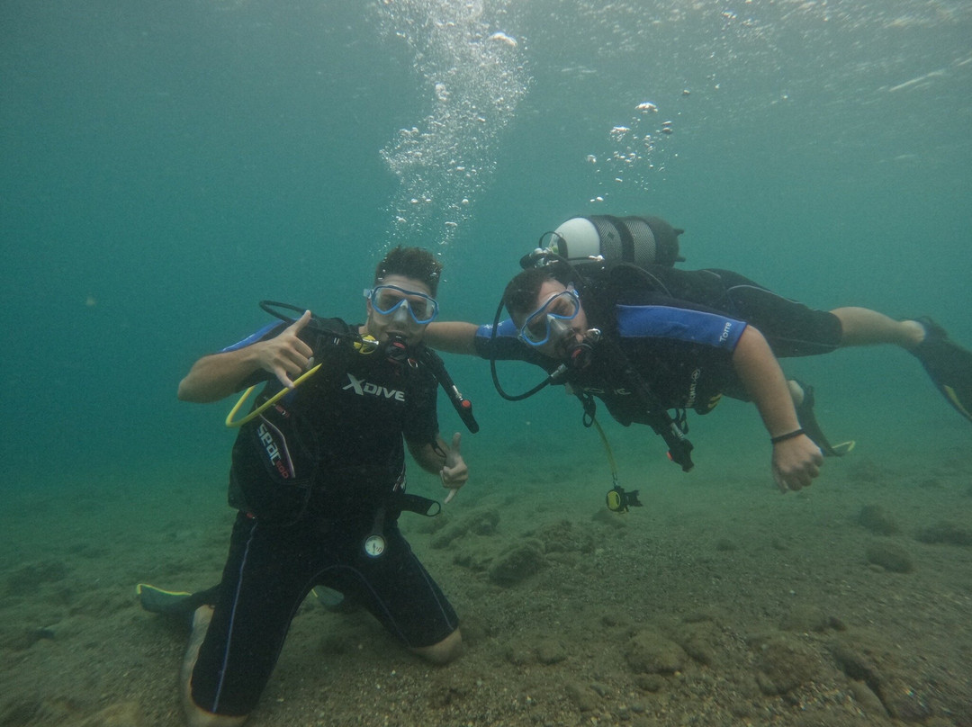 Argonauta Diving Resort景点图片