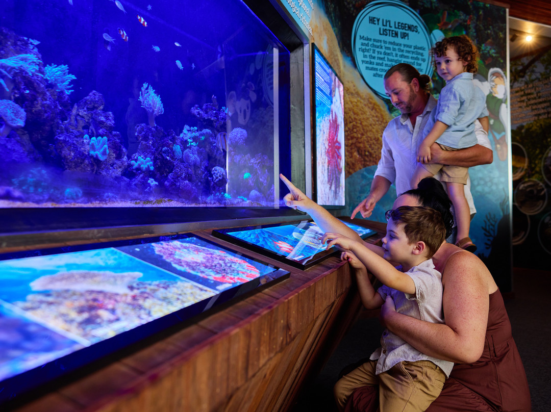 Cairns Koalas & Creatures-凯恩斯必去景点