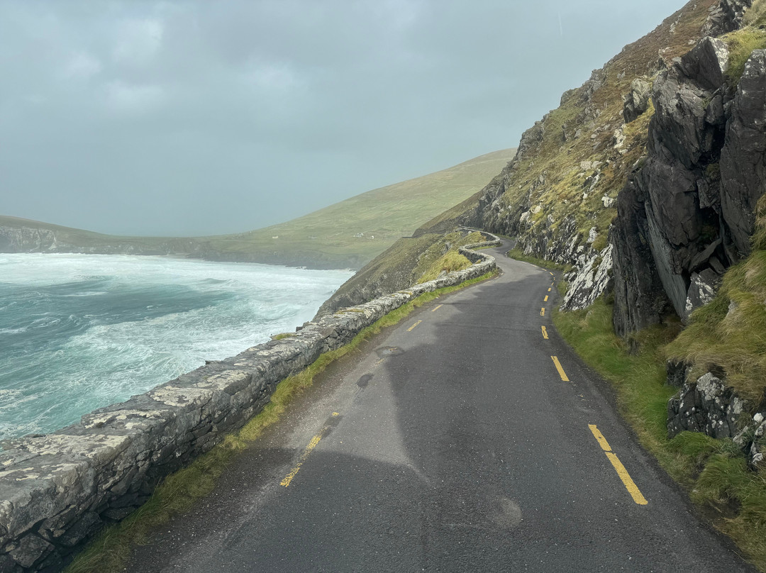 Keogh Barrett Tours Ltd-都柏林必去景点