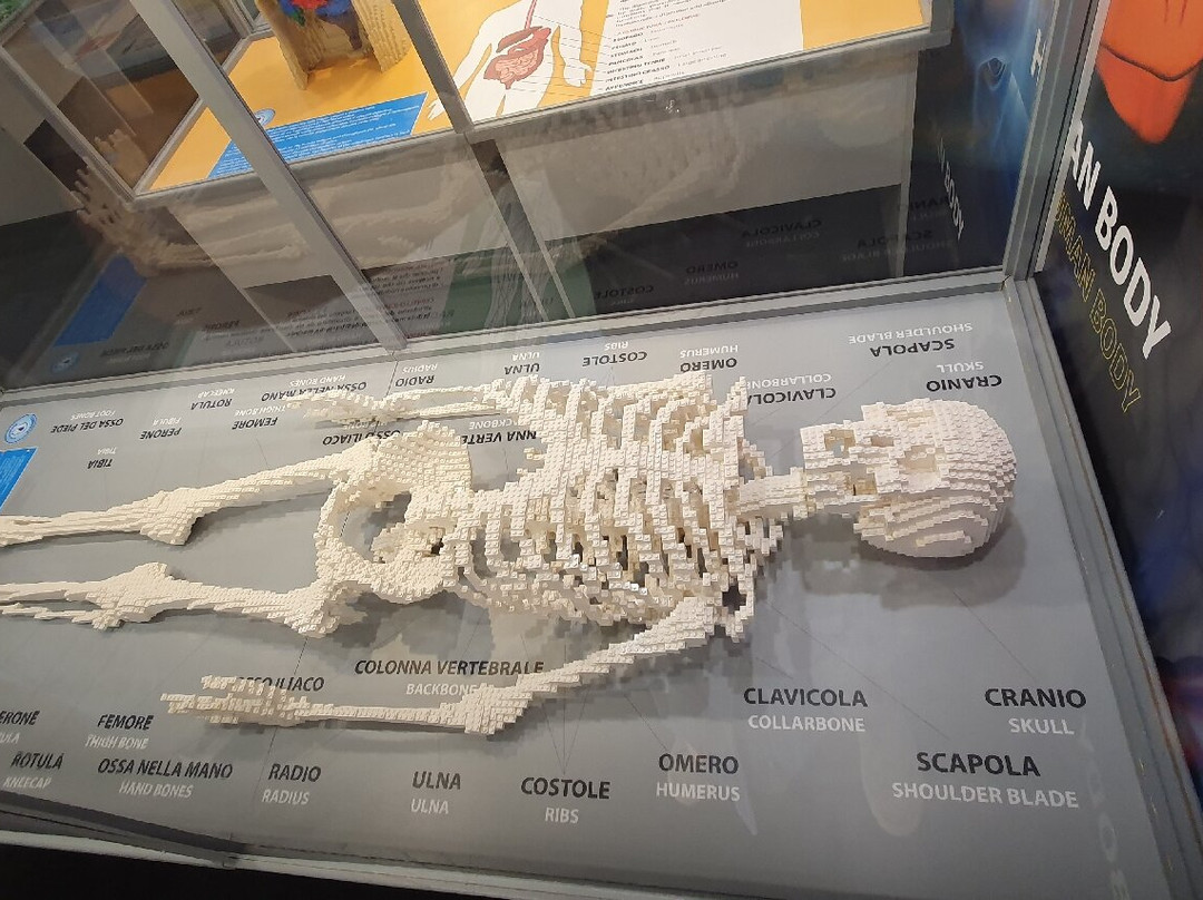 Mostra Di Modelli Construiti Con Mattoncini Lego-麦斯特必去景点