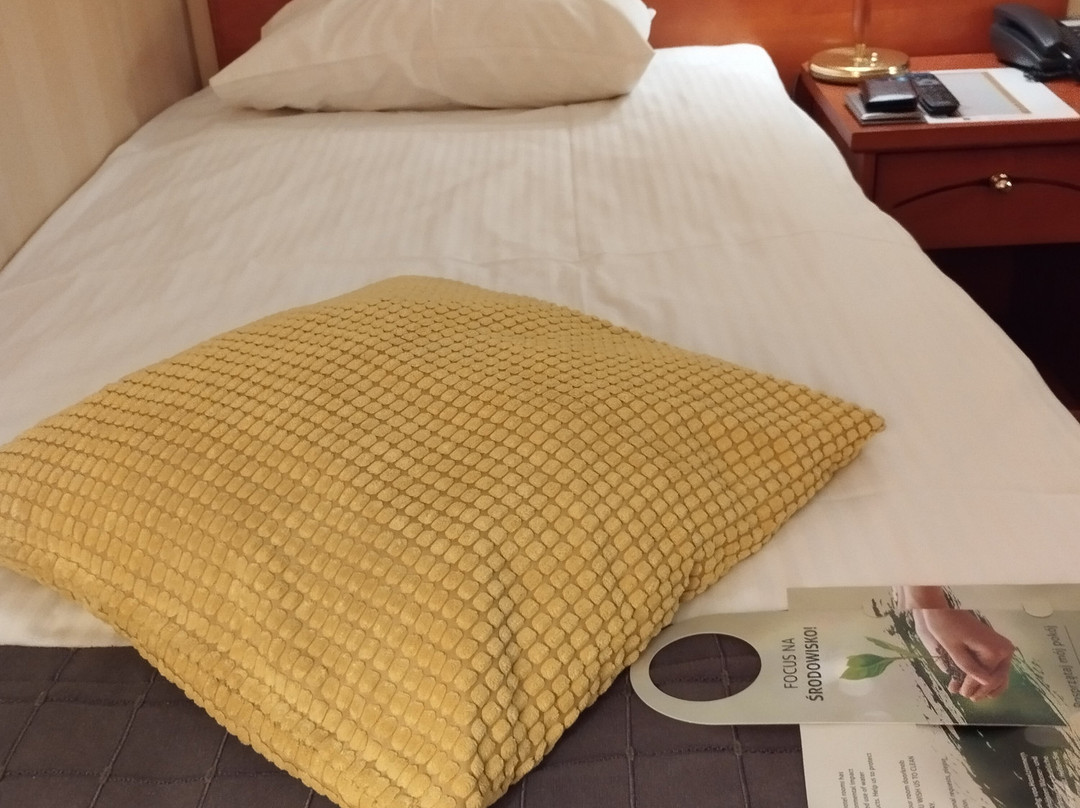 Focus Hotel Premium Pod Orłem主图