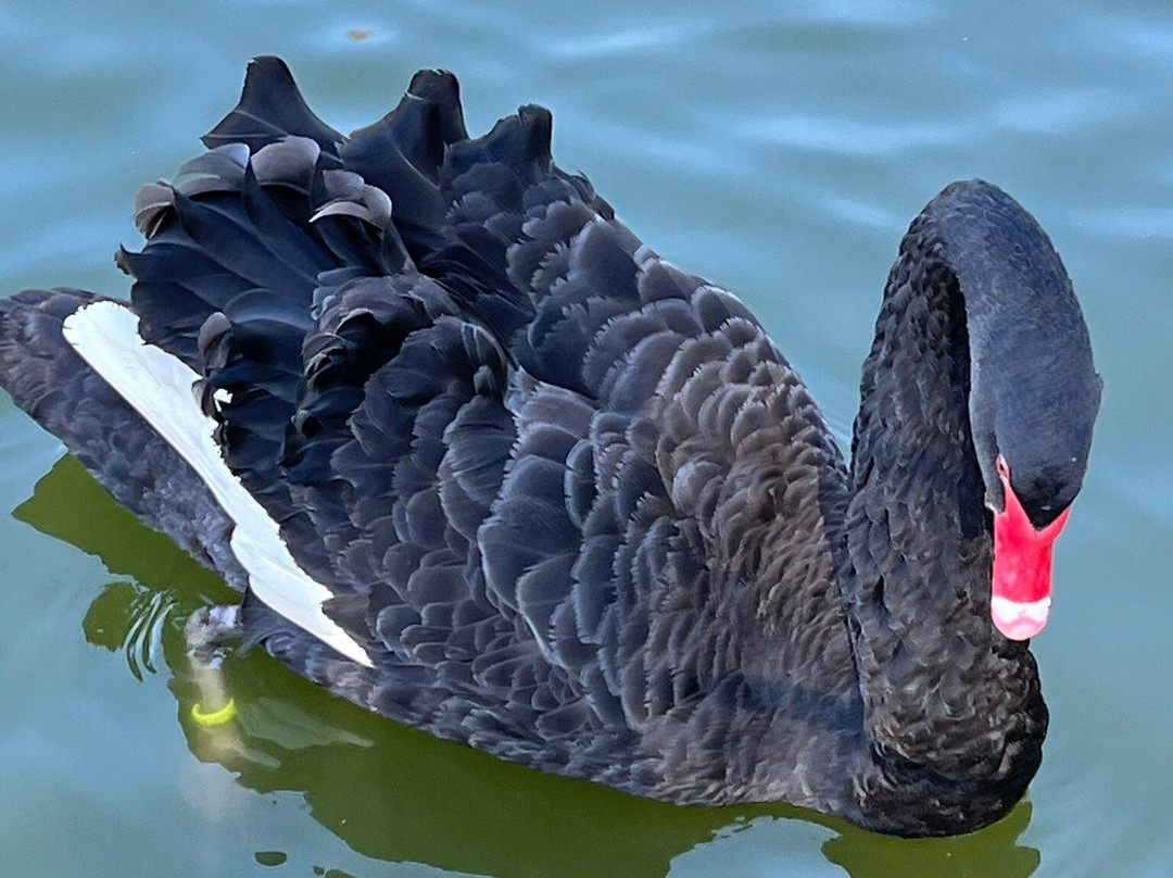 Zoo Veldhoven景点图片