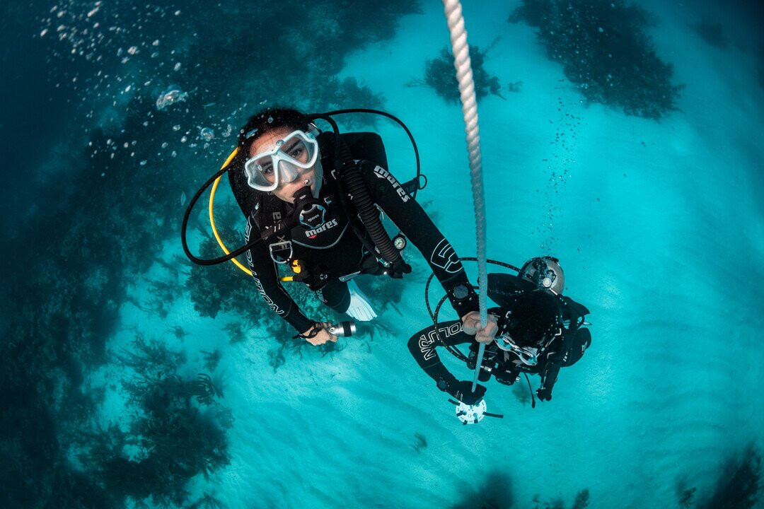 Gold Coast Dive Centre-Miami必去景点
