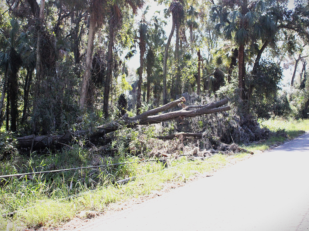 Alafia River State Park-Lithia必去景点