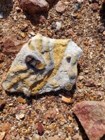 Australian Iconic Tours-阿德莱德必去景点